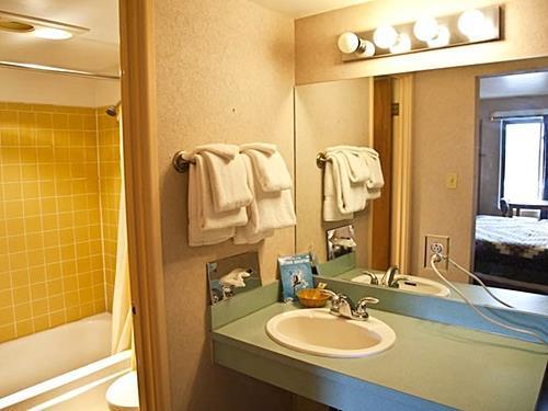 باخرة سبرينغز Alpiner Lodge المظهر الخارجي الصورة